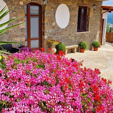 Pietra del Colle Agriturismo Altavilla Silentina Esterno foto