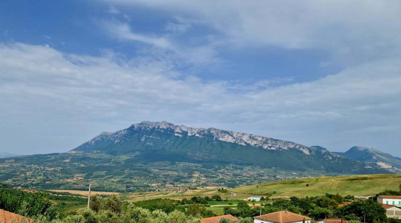 Pietra del Colle Agriturismo Altavilla Silentina Esterno foto