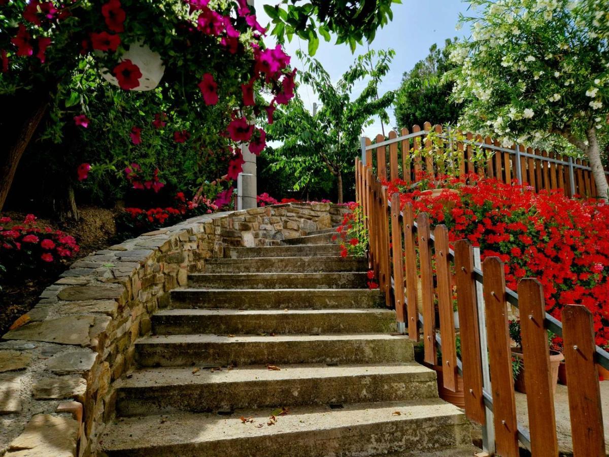 Pietra del Colle Agriturismo Altavilla Silentina Esterno foto